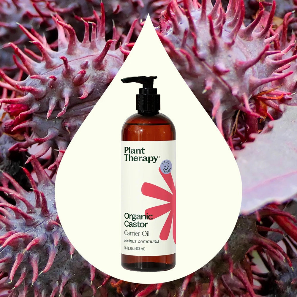 Plant Therapy Organic Castor Oil 16 oz