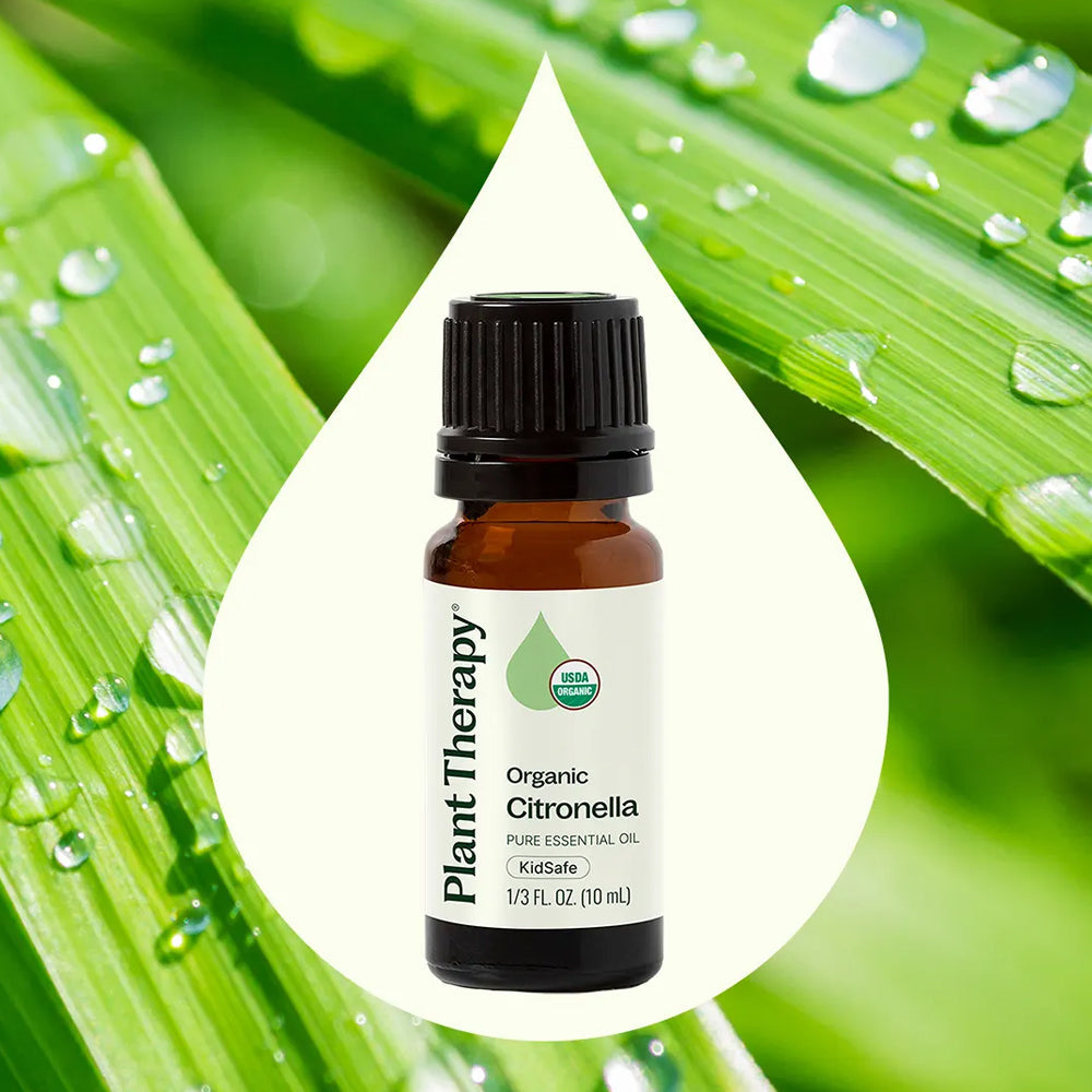 Planet Therapy Organic Citronella Essential Oil - 10 Ml