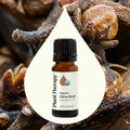 Planet Therapy Organic Clove Bud Essential Oil - 10 Ml