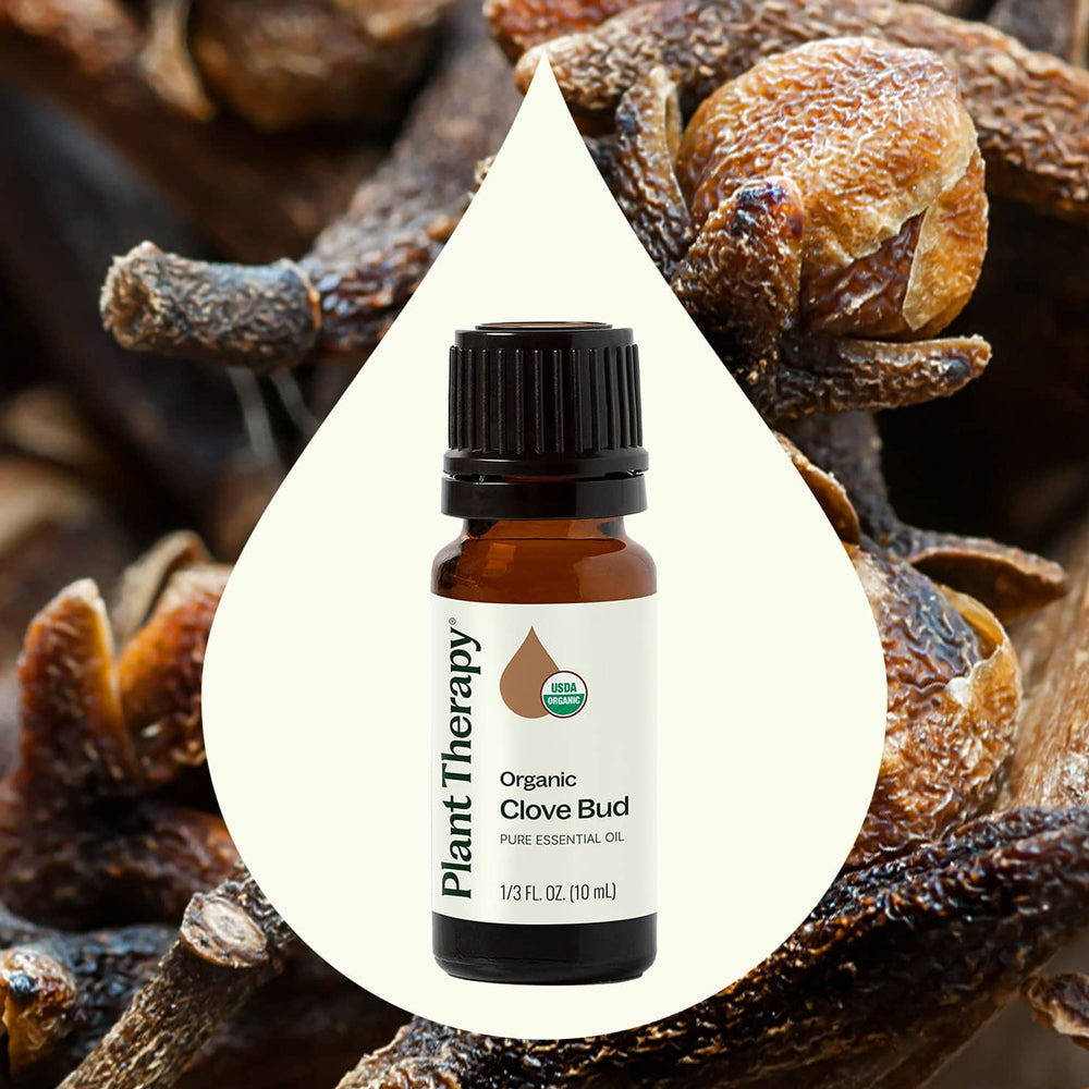 Planet Therapy Organic Clove Bud Essential Oil - 10 Ml