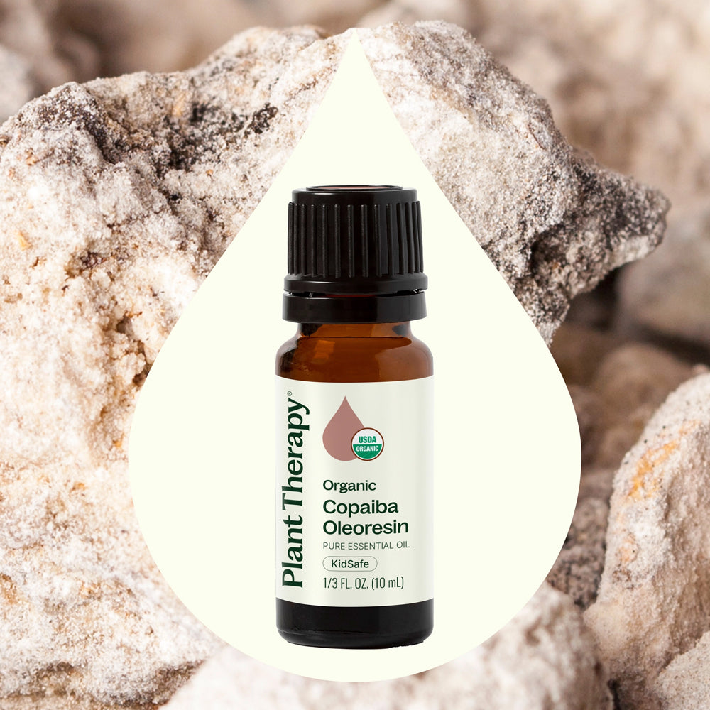 Planet Therapy Organic Copaiba Oleoresin Essential Oil - 10 Ml