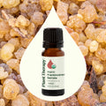 Planet Therapy Organic Frankincense Serrata Essential Oil - 10 Ml