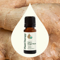 Planet Therapy Organic Ginger Root Essential Oil - 10 Ml