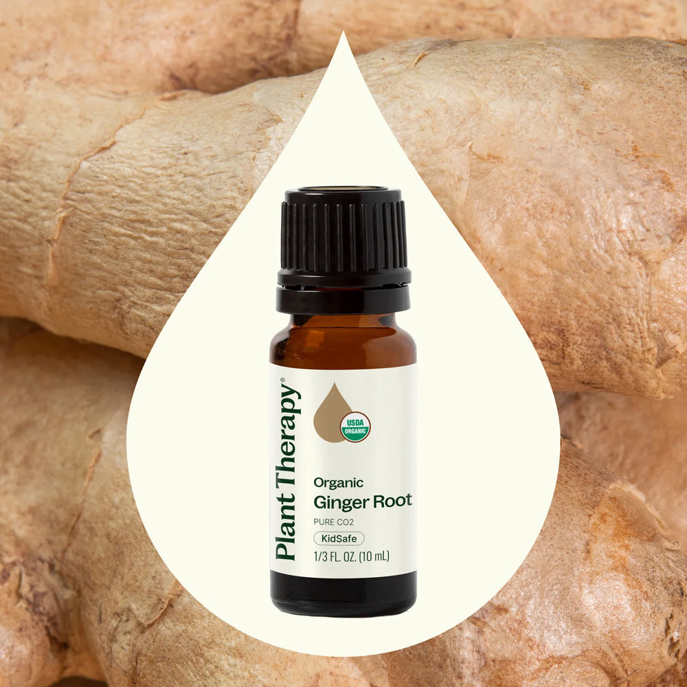 Planet Therapy Organic Ginger Root Essential Oil - 10 Ml