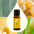 Planet Therapy Organic Immune Aid Essential Oil - 10 Ml