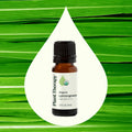 Planet Therapy Organic Lemongrass Essential Oil - 10 Ml