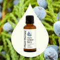 Planet Therapy Organic Juniper Berry Essential Oil - 10 Ml