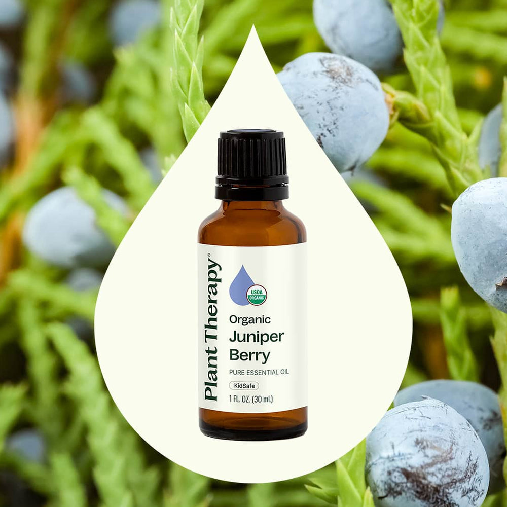 Planet Therapy Organic Juniper Berry Essential Oil - 10 Ml