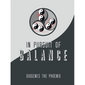 In Pursuit of Balance - Paperback | Books | Wiccan Center