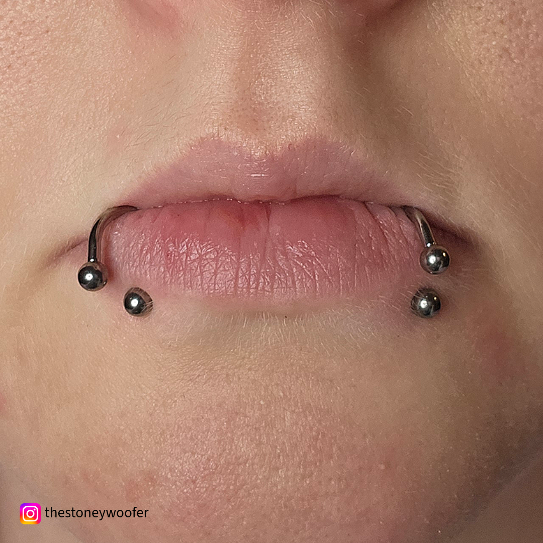 16G Titanium Horseshoe - Internally Threaded | Body Jewelry | Wiccan Center