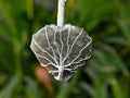 Labradorite Heart Silver Wire Wrapped Pendant, Crystal Heart Gemstone Pendant | | Wiccan Center