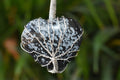 Snowflake Obsidian Heart Silver Wire Wrapped Pendant, Crystal Heart Gemstone Pendant | | Wiccan Center