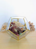 Crystal Geode Terrarium Hematoid Quartz - Grounded Garden | | Wiccan Center