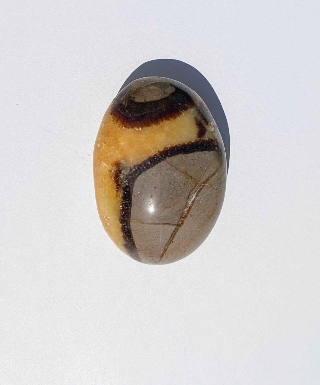 Septarian Palm Stones (Dragon Stone) – Grounding, Confidence & Ancient Earth Energy | | Wiccan Center