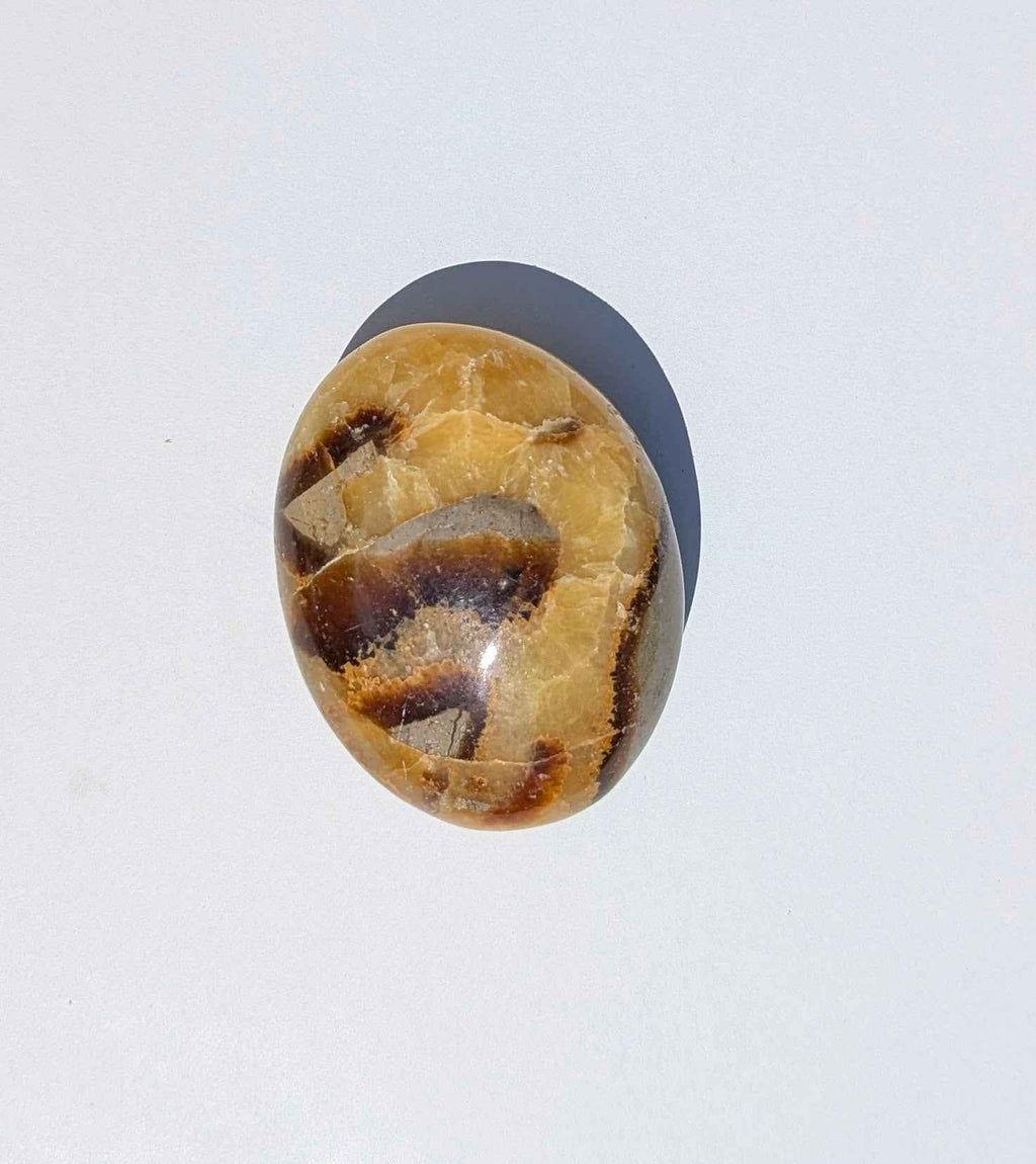 Septarian Palm Stones (Dragon Stone) – Grounding, Confidence & Ancient Earth Energy | | Wiccan Center