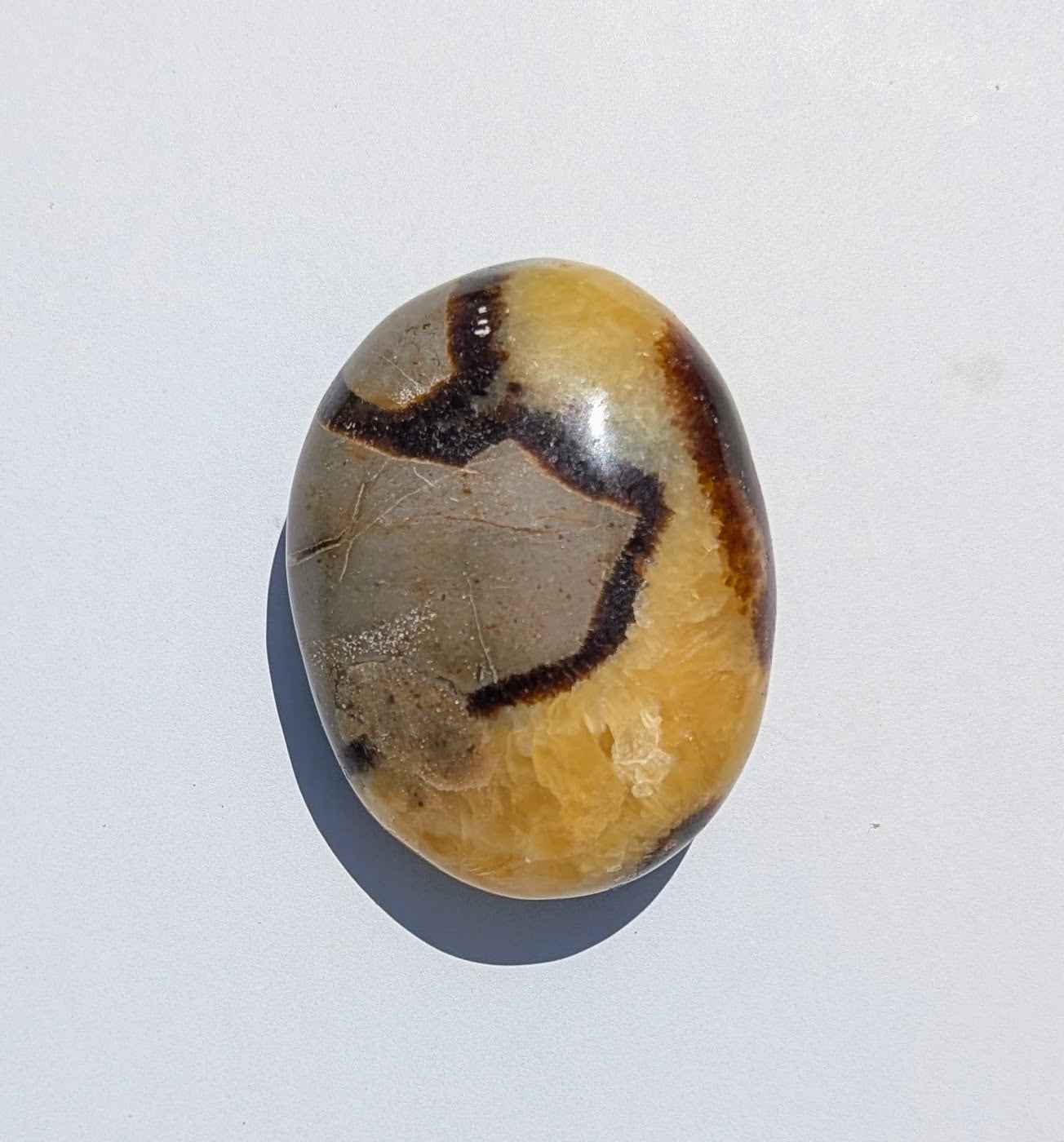 Septarian Palm Stones (Dragon Stone) – Grounding, Confidence & Ancient Earth Energy | | Wiccan Center