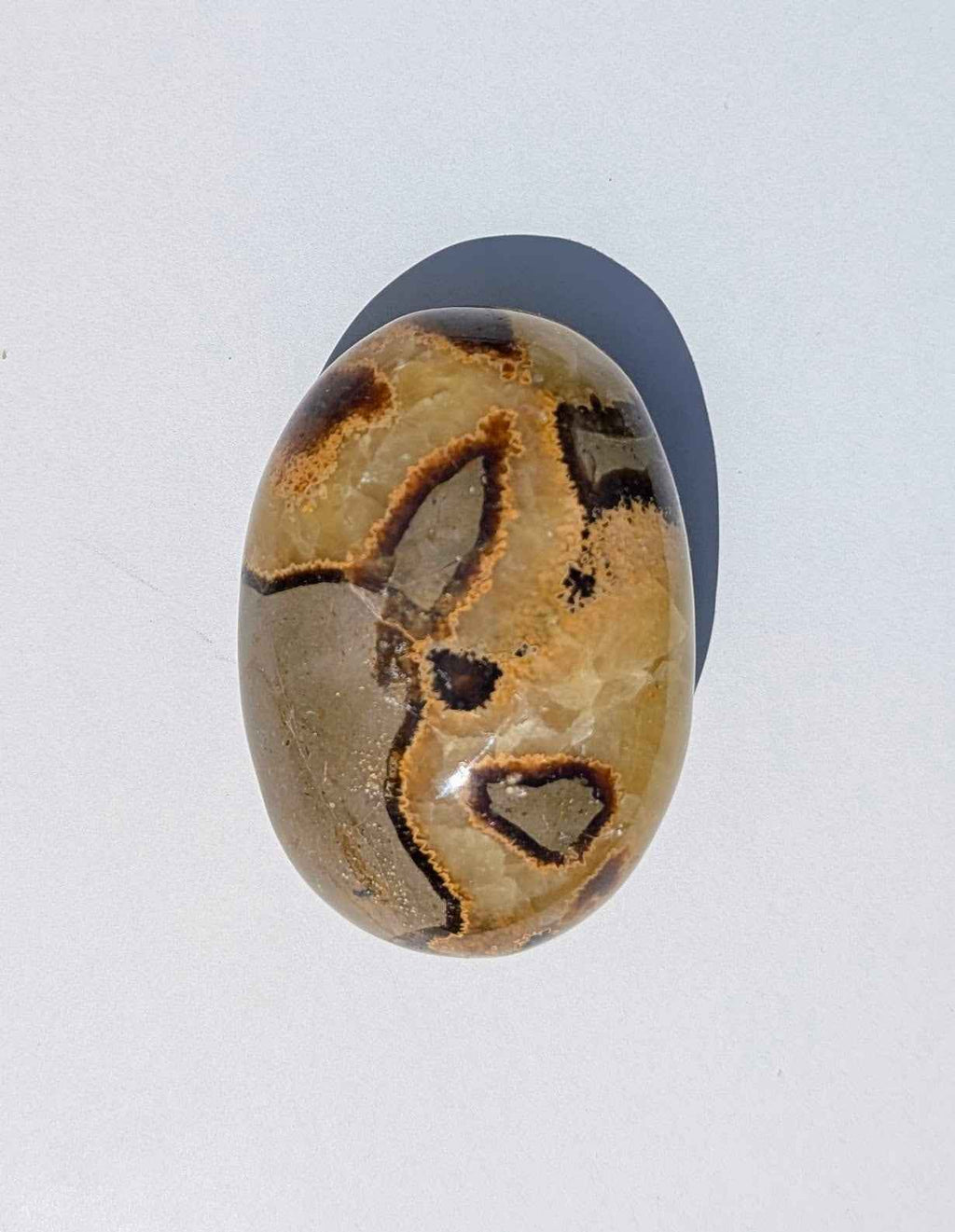 Septarian Palm Stones (Dragon Stone) – Grounding, Confidence & Ancient Earth Energy | | Wiccan Center