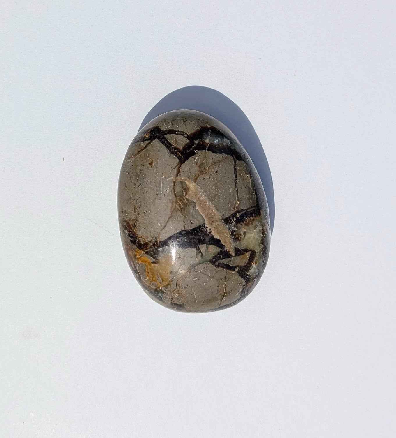 Septarian Palm Stones (Dragon Stone) – Grounding, Confidence & Ancient Earth Energy | | Wiccan Center