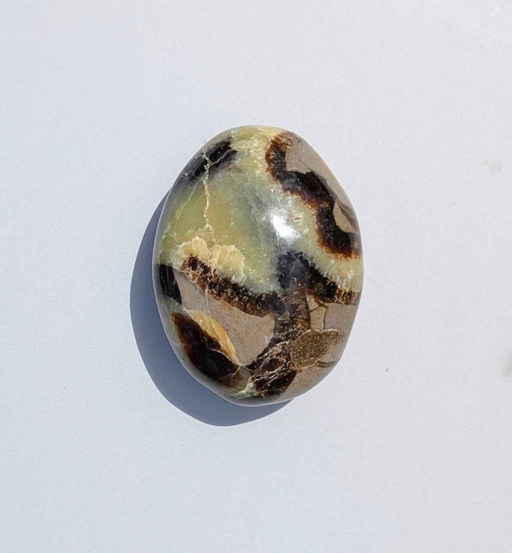 Septarian Palm Stones (Dragon Stone) – Grounding, Confidence & Ancient Earth Energy | | Wiccan Center