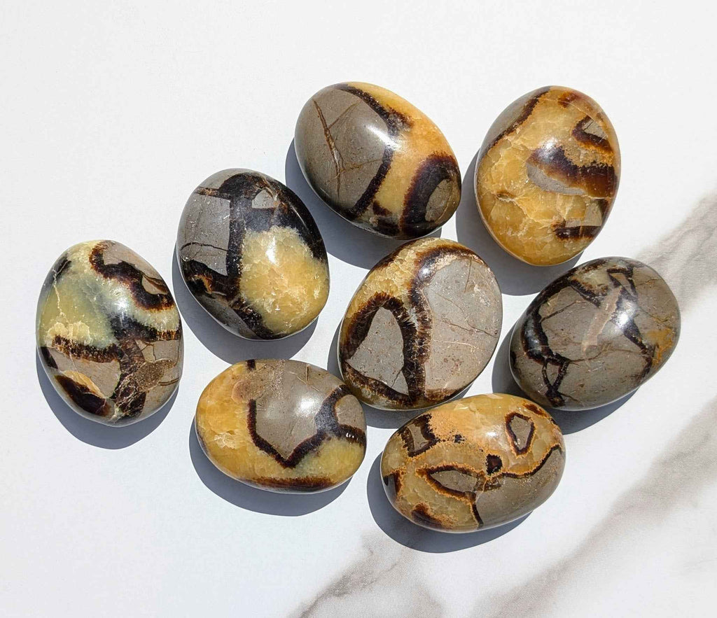 Septarian Palm Stones (Dragon Stone) – Grounding, Confidence & Ancient Earth Energy | | Wiccan Center