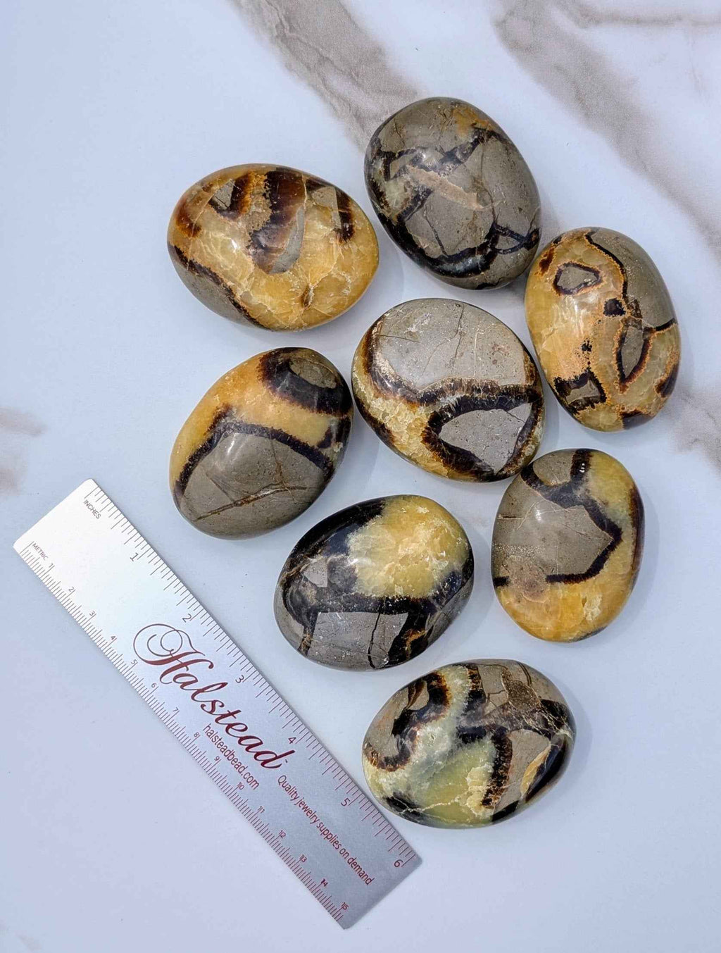 Septarian Palm Stones (Dragon Stone) – Grounding, Confidence & Ancient Earth Energy | | Wiccan Center