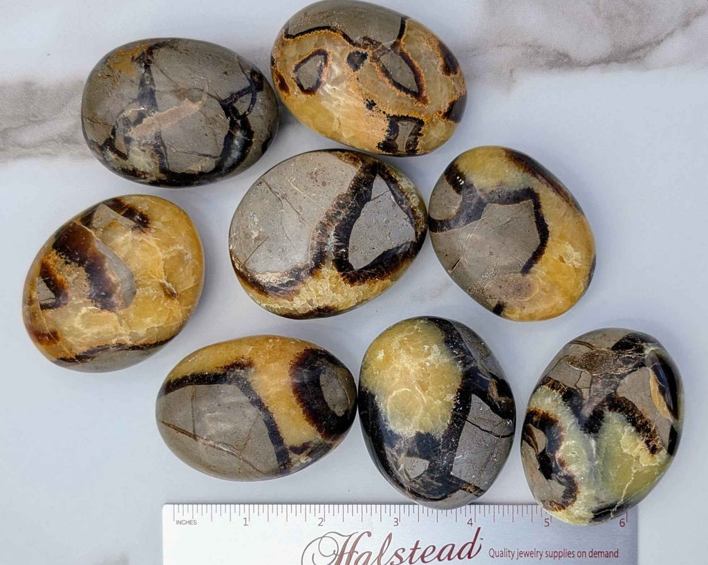 Septarian Palm Stones (Dragon Stone) – Grounding, Confidence & Ancient Earth Energy | | Wiccan Center