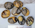 Septarian Palm Stones (Dragon Stone) – Grounding, Confidence & Ancient Earth Energy | | Wiccan Center