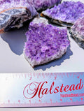 Amethyst Clusters | | Wiccan Center