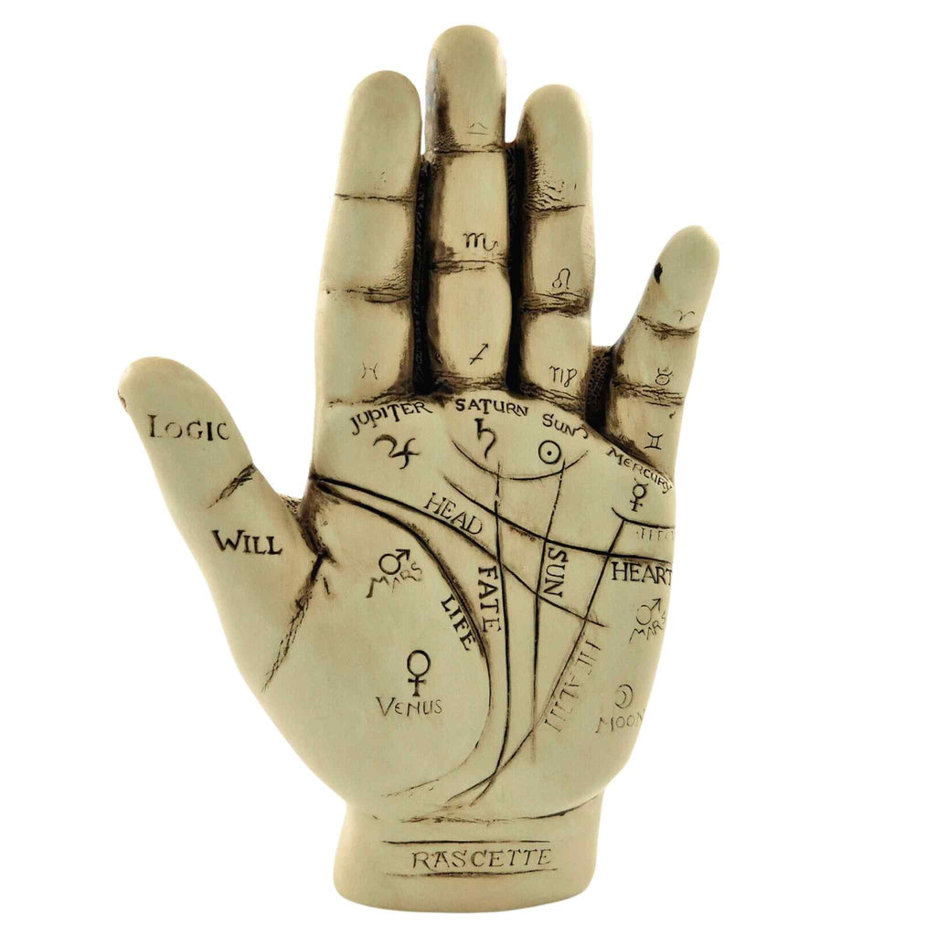 Palmistry Hand Kit | Religious Items | Wiccan Center