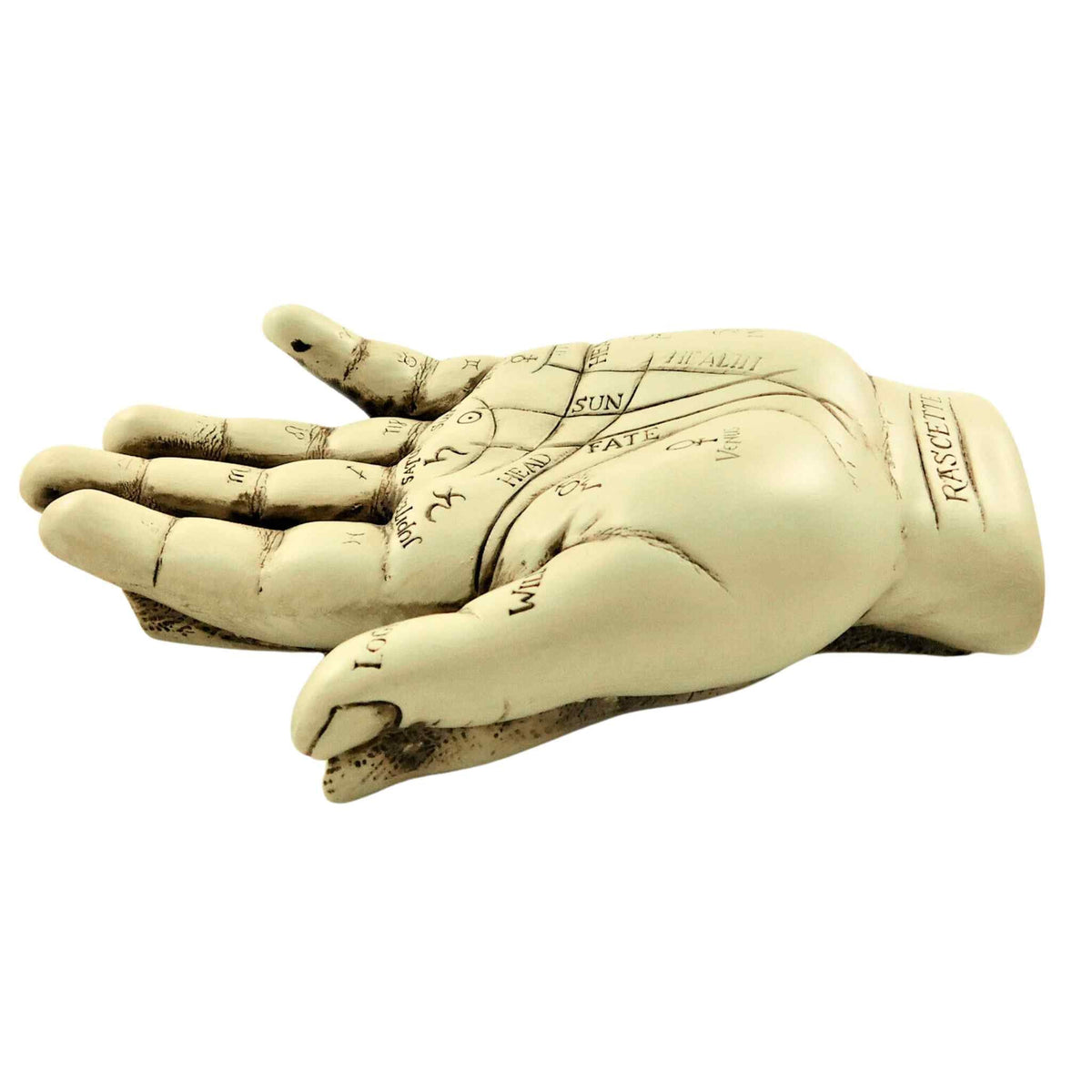 Palmistry Hand Kit | Religious Items | Wiccan Center