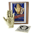 Palmistry Hand | Altar supplies | Wiccan Center