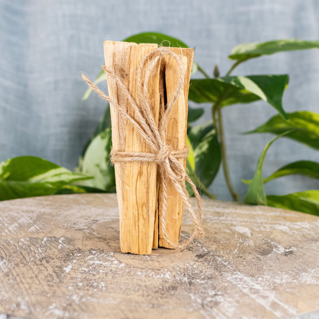 Palo Santo Sticks | Religious Items | Wiccan Center
