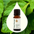 Plant Therapy Patchouli Essential Oil 10 Ml
