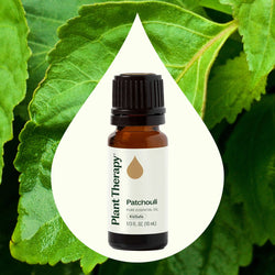 Plant Therapy Patchouli Essential Oil 10 Ml | essential oil | Wiccan Center