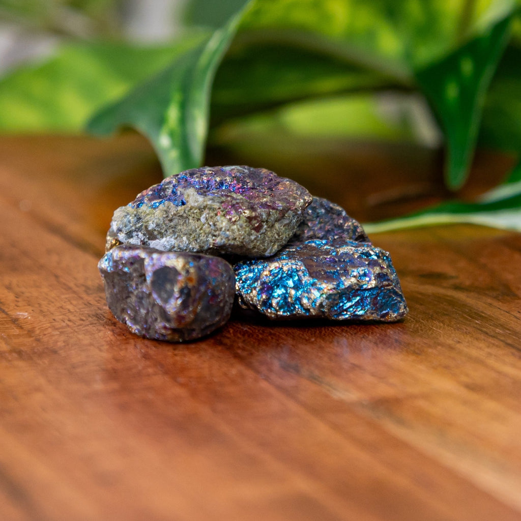 Peacock Ore Raw | Crystals | Wiccan Center