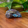 Peacock Ore Raw | Crystals | Wiccan Center