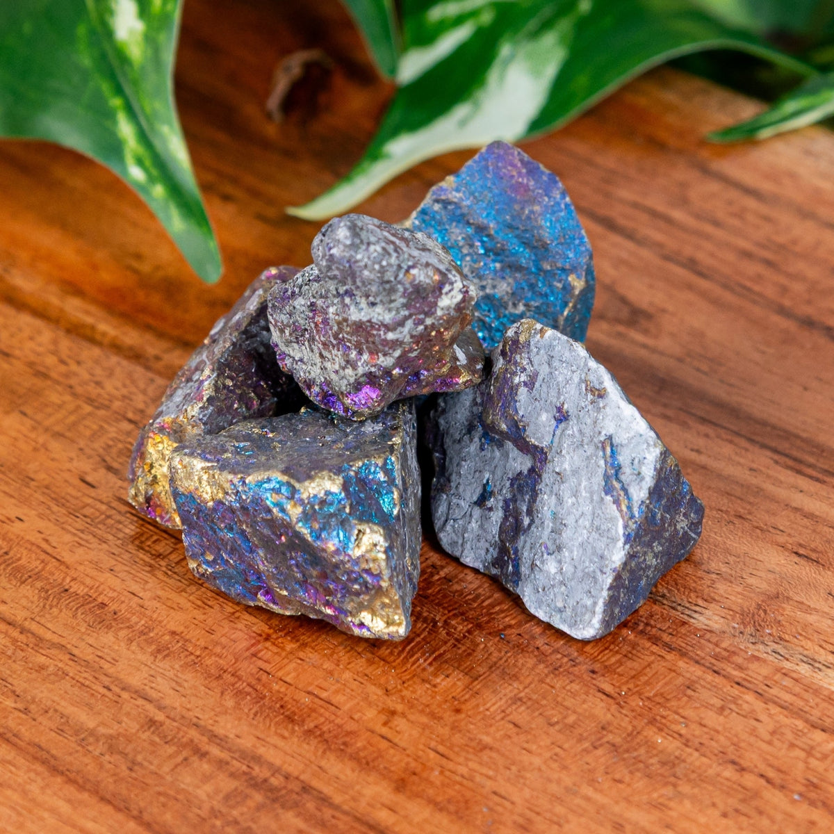 Peacock Ore Raw | Crystals | Wiccan Center
