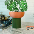 Modern Pedestal Plant Pot, Two-Piece | plant pot | Wiccan Center