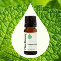 Plant Therapy Peppermint Essential Oil 10 Ml