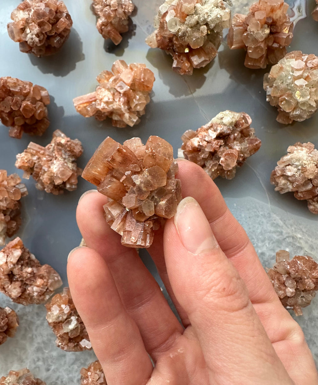 Aragonite Cluster (MD) | Minerals | Wiccan Center