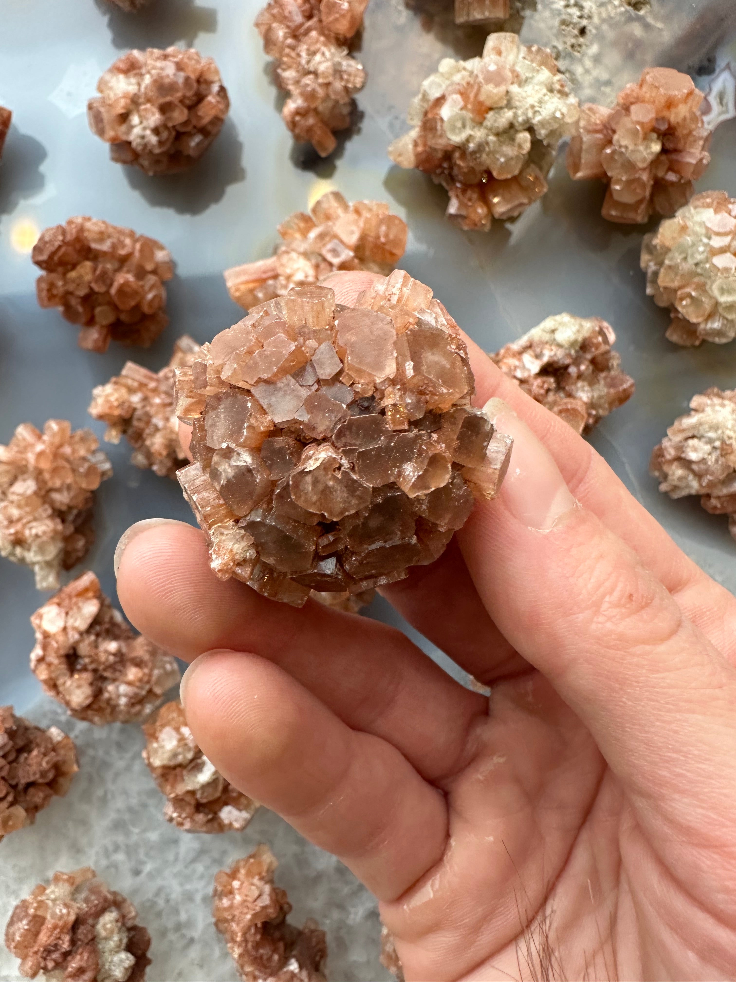 Aragonite Cluster (MD) | Minerals | Wiccan Center