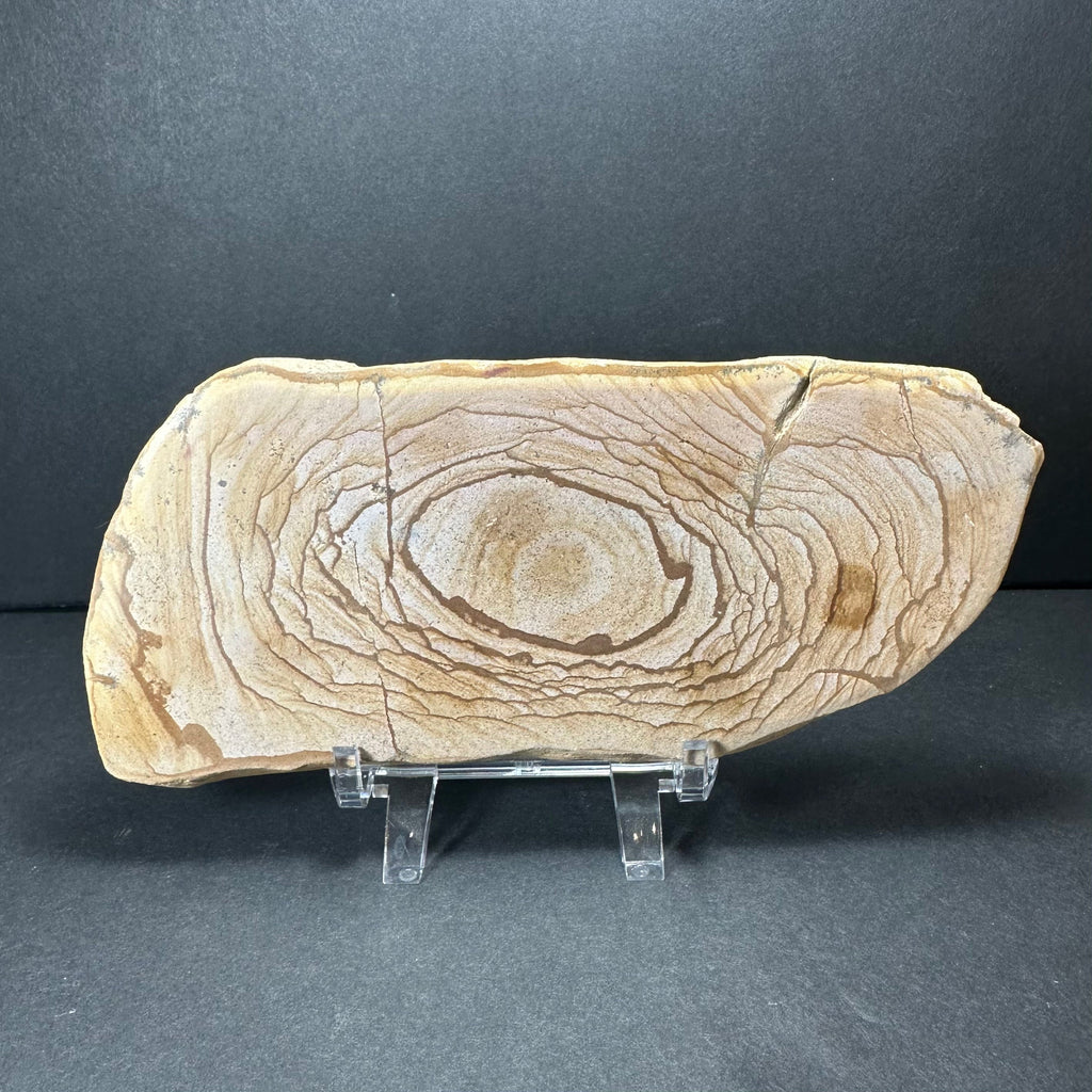 Picture Jasper Plate (L) from Morocco | Lapidary | Wiccan Center