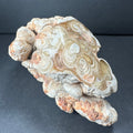 Cave Onyx Stalactite Kokoweef Cavern, Calico California | Minerals | Wiccan Center
