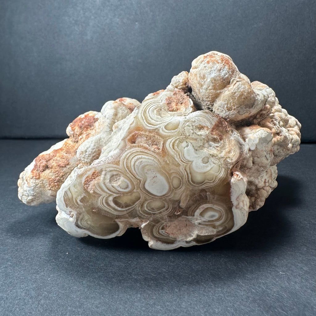 Cave Onyx Stalactite Kokoweef Cavern, Calico California | Minerals | Wiccan Center