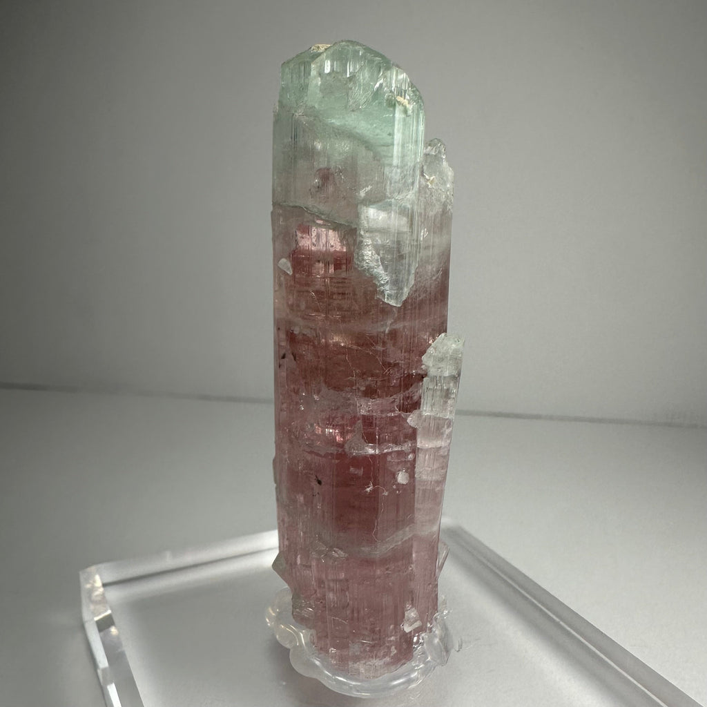 Watermelon Tourmaline | Minerals | Wiccan Center