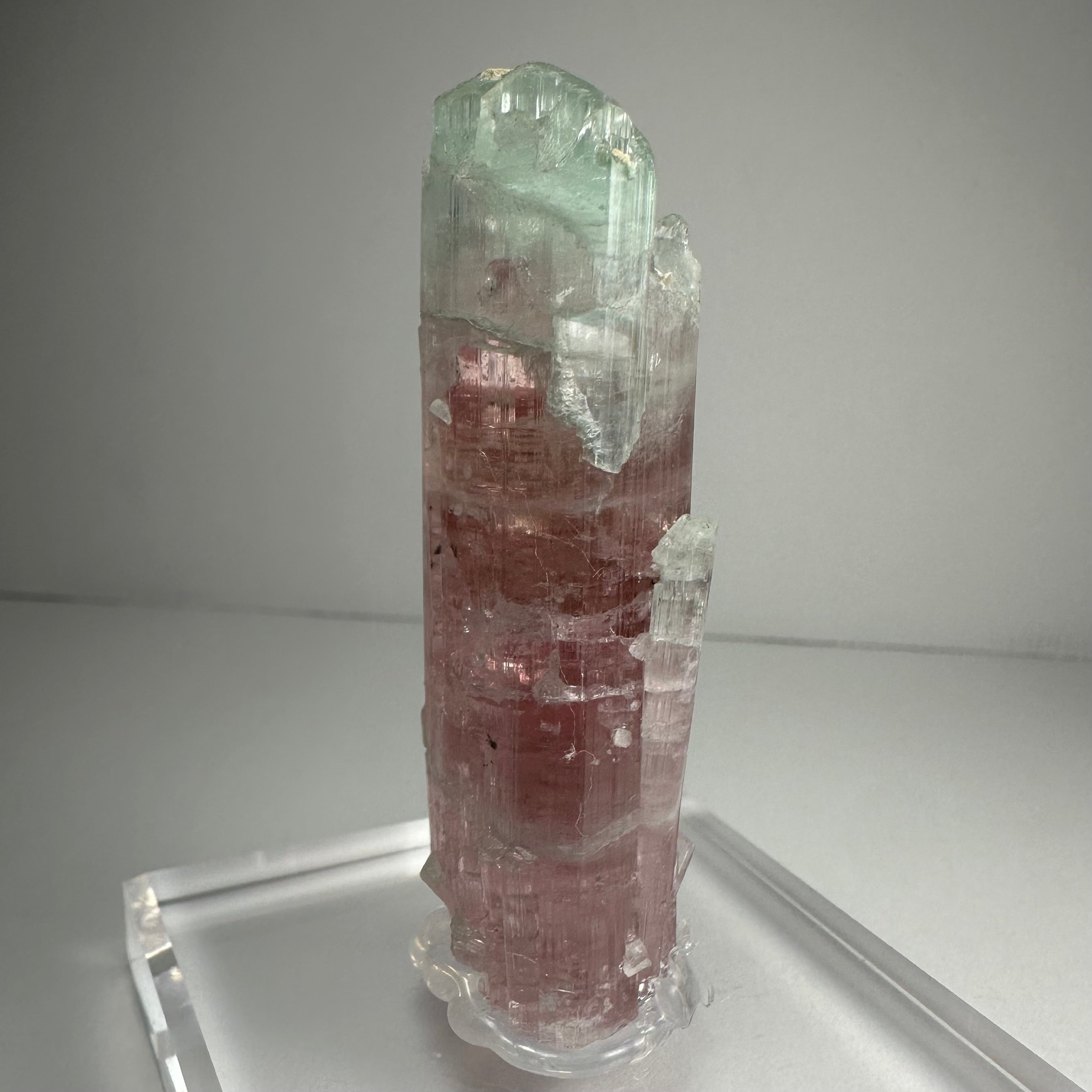 Watermelon Tourmaline | Minerals | Wiccan Center