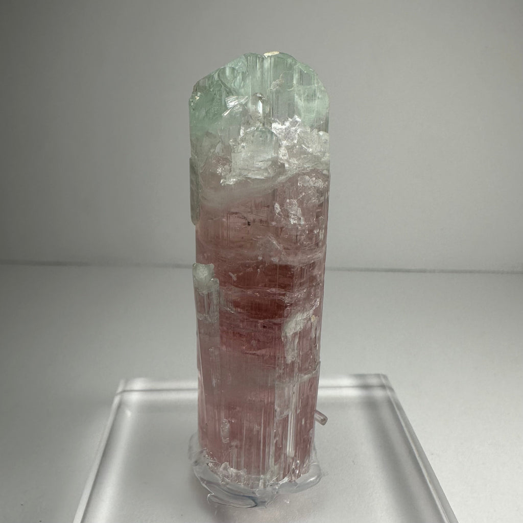 Watermelon Tourmaline | Minerals | Wiccan Center