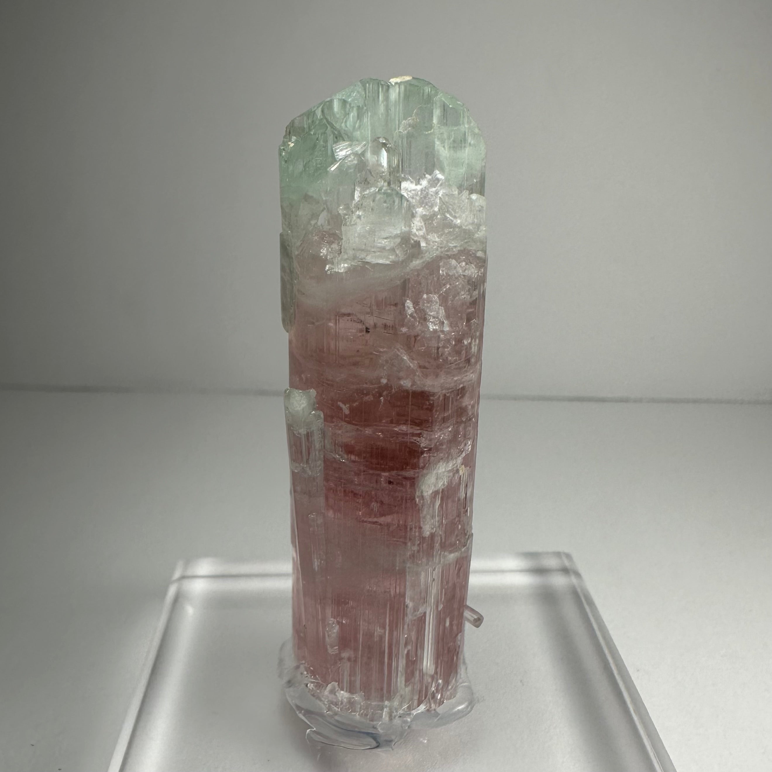 Watermelon Tourmaline | Minerals | Wiccan Center