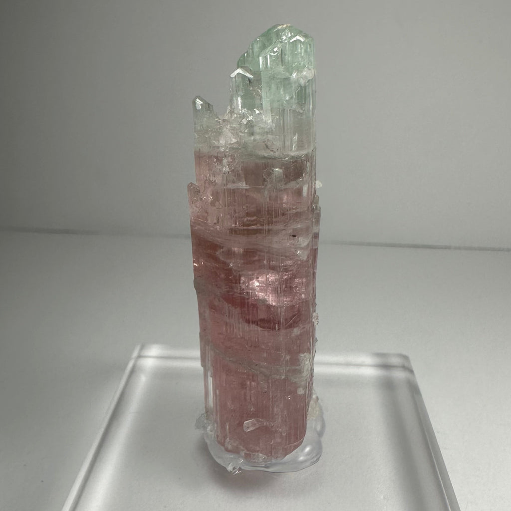 Watermelon Tourmaline | Minerals | Wiccan Center