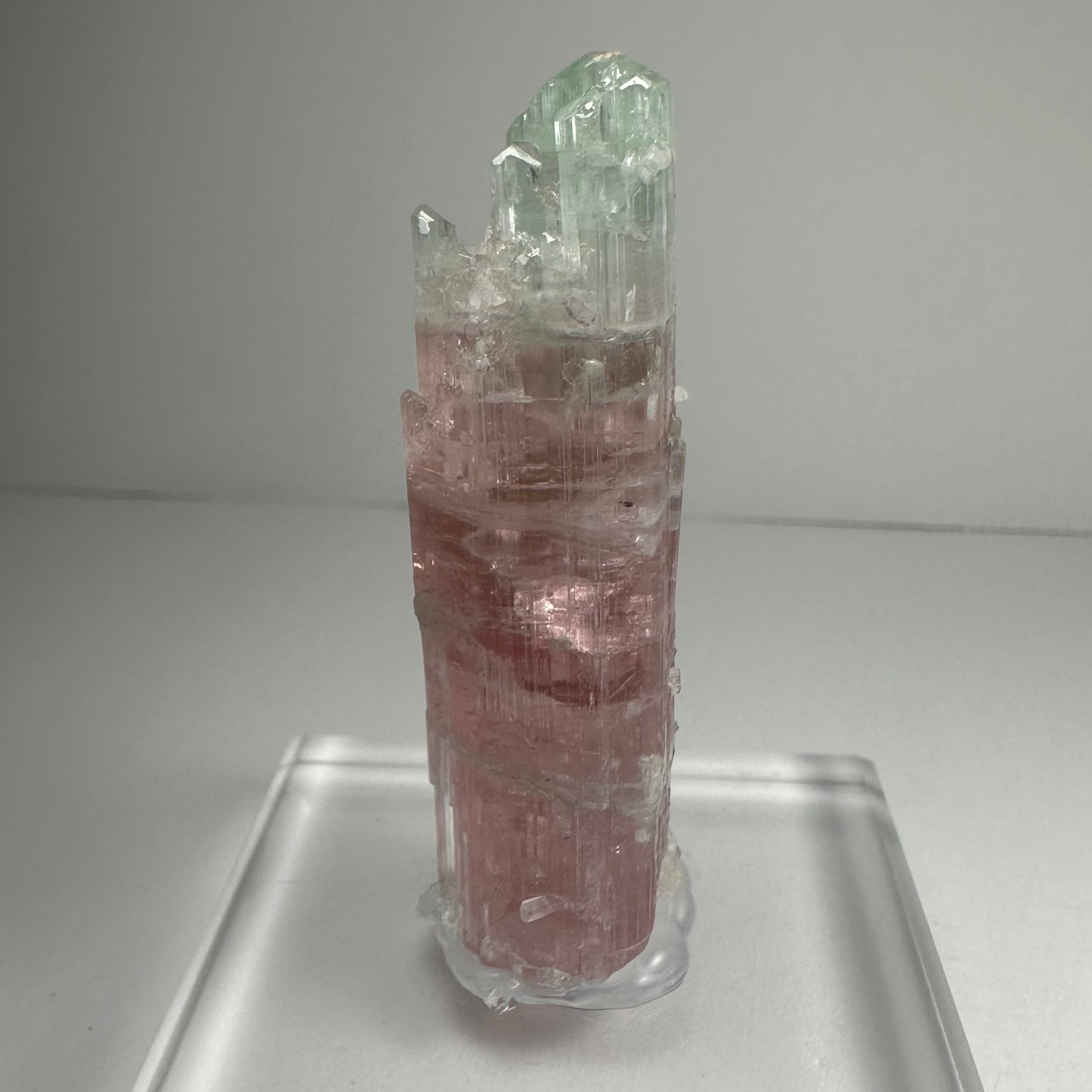 Watermelon Tourmaline | Minerals | Wiccan Center